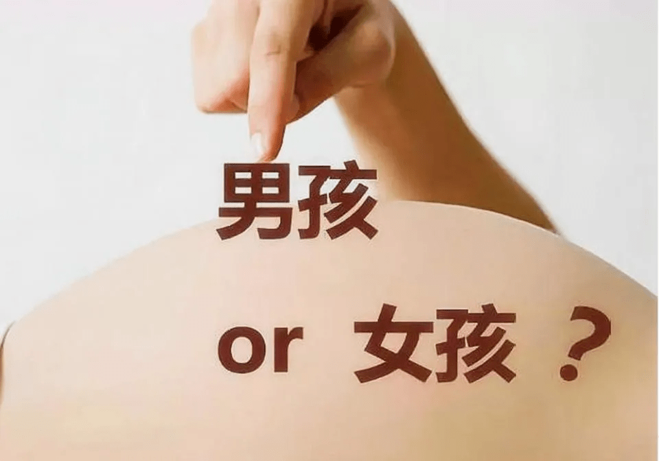 熟生巧巧则变变化多端不絮乱打一生肖全面释义、综合解答解释落实