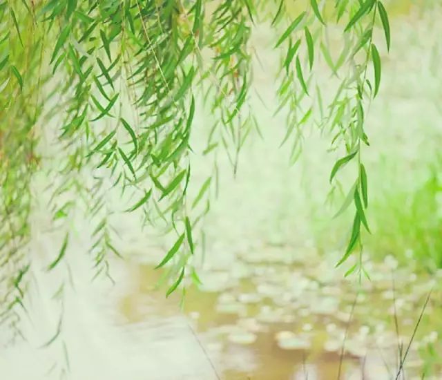 凉风吹面心清爽 垂涎三尺乐悠悠 是什么生肖，全面释义、构建解答解释落实
