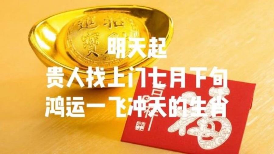 一飞冲天打一正确生肖仔细释义、解释与落实、综合解答解释落实