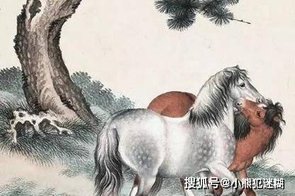 今期狗猴龙出特,四不两立长恨丽代表是指什么生肖请全面2释义、解释与落实、精准解答解释落实